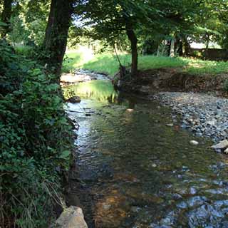 Vente de chevaux Villefranche-Sur-Saône