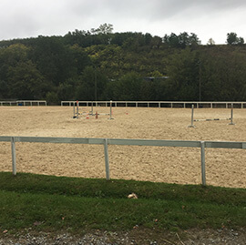 Vente de chevaux dans le Rhône (69)